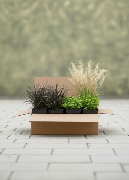Paquet Chic Naturel