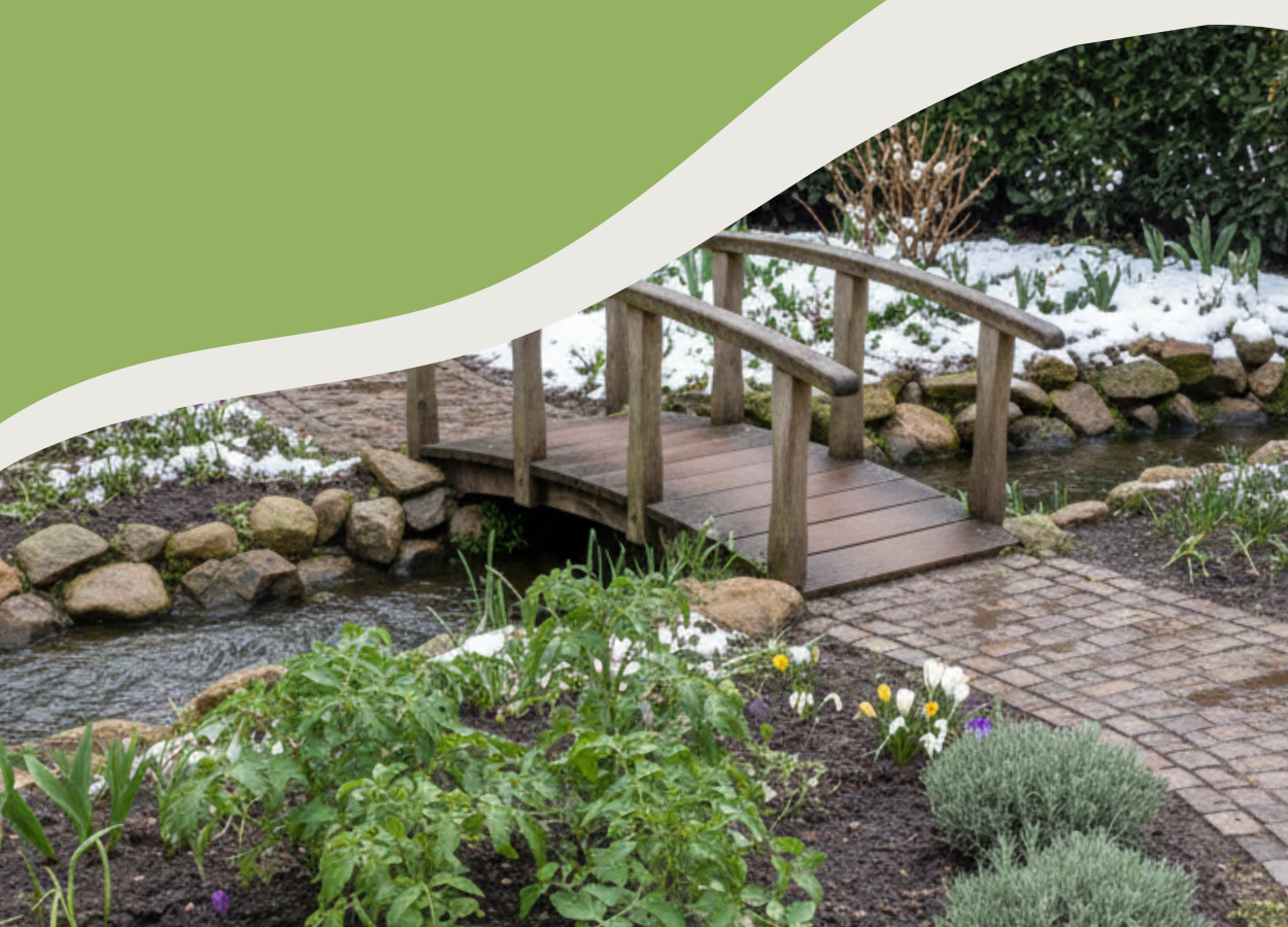 Commencez la nouvelle année en vert avec nos plantes de qualité