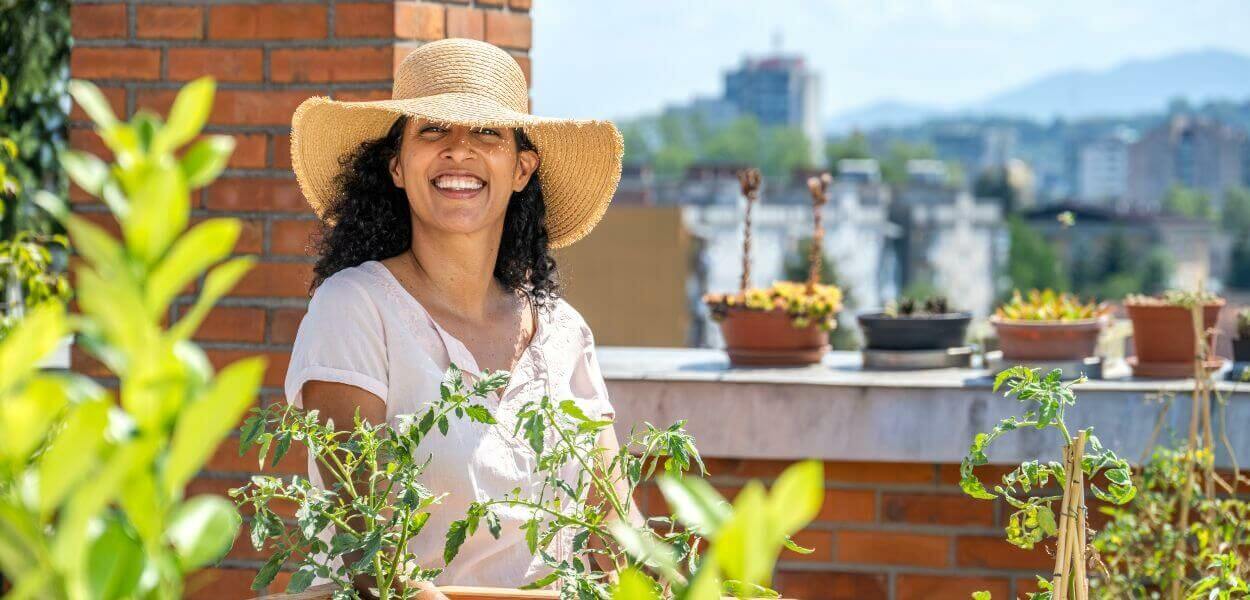 Plan par étapes pour la plantation de plantes de terrasse et de balcon et de plantes méditerranéennes en pot