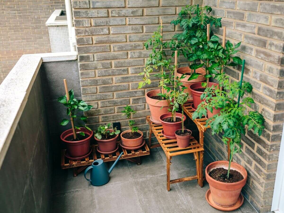 Protégez vos plantes de jardin du gel sans plastique ni voile d’hivernage image