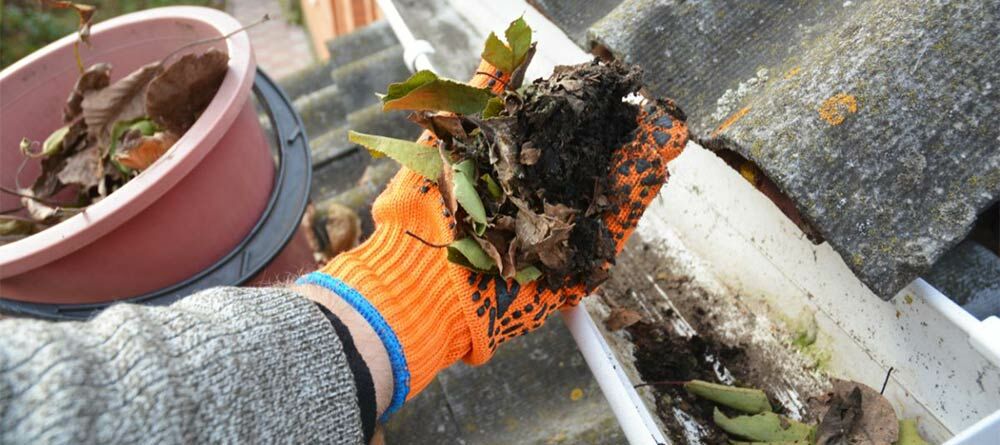 Travaux d’amélioration de votre jardin