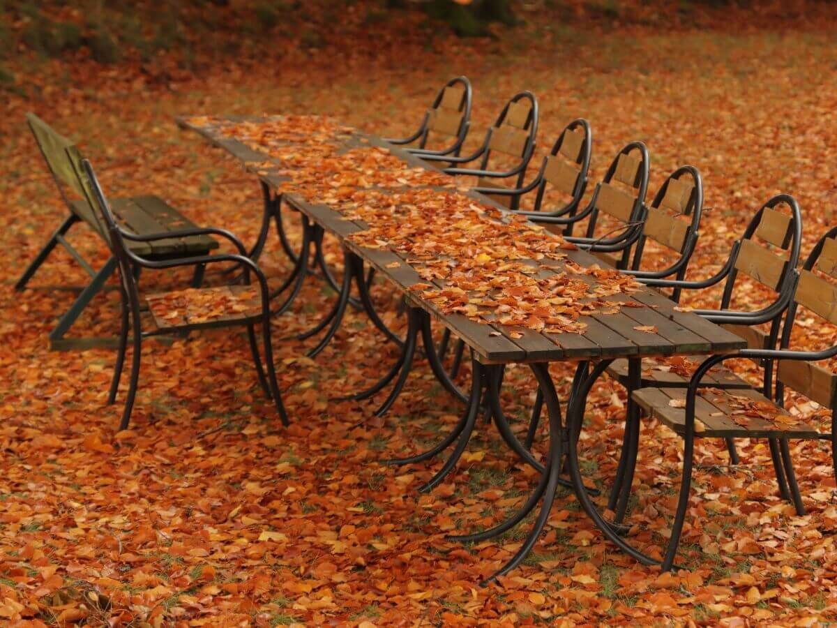 Utilisez intelligemment les feuilles d’automne comme protection naturelle pour votre jardin image