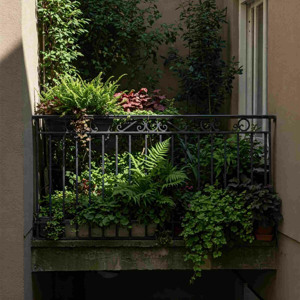 Petit espace, grand effet : voici comment aménager un balcon vert image