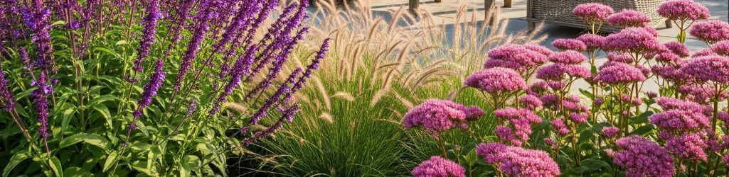 Top 6 plantes résistantes à la chaleur pour un jardin ensoleillé image