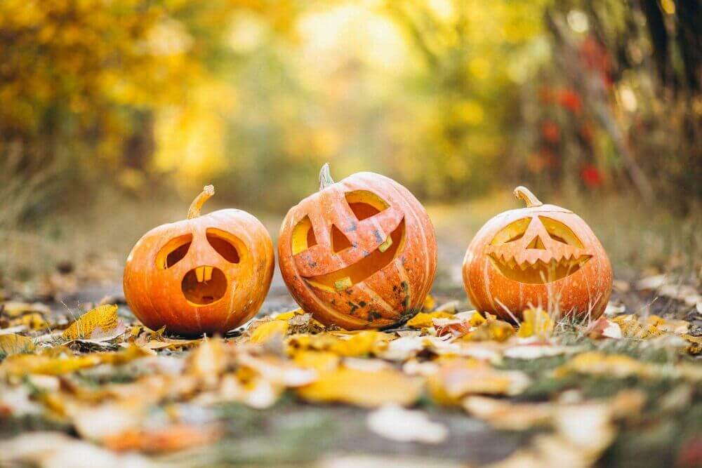 Halloween dans votre propre jardin