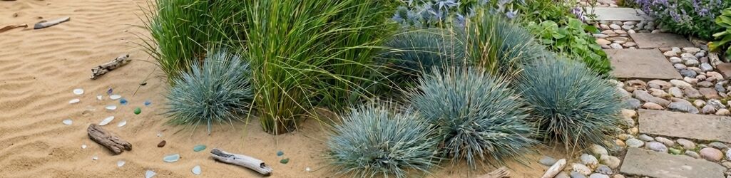 Comment aménager un jardin maritime image