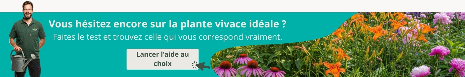 Aide à la décision