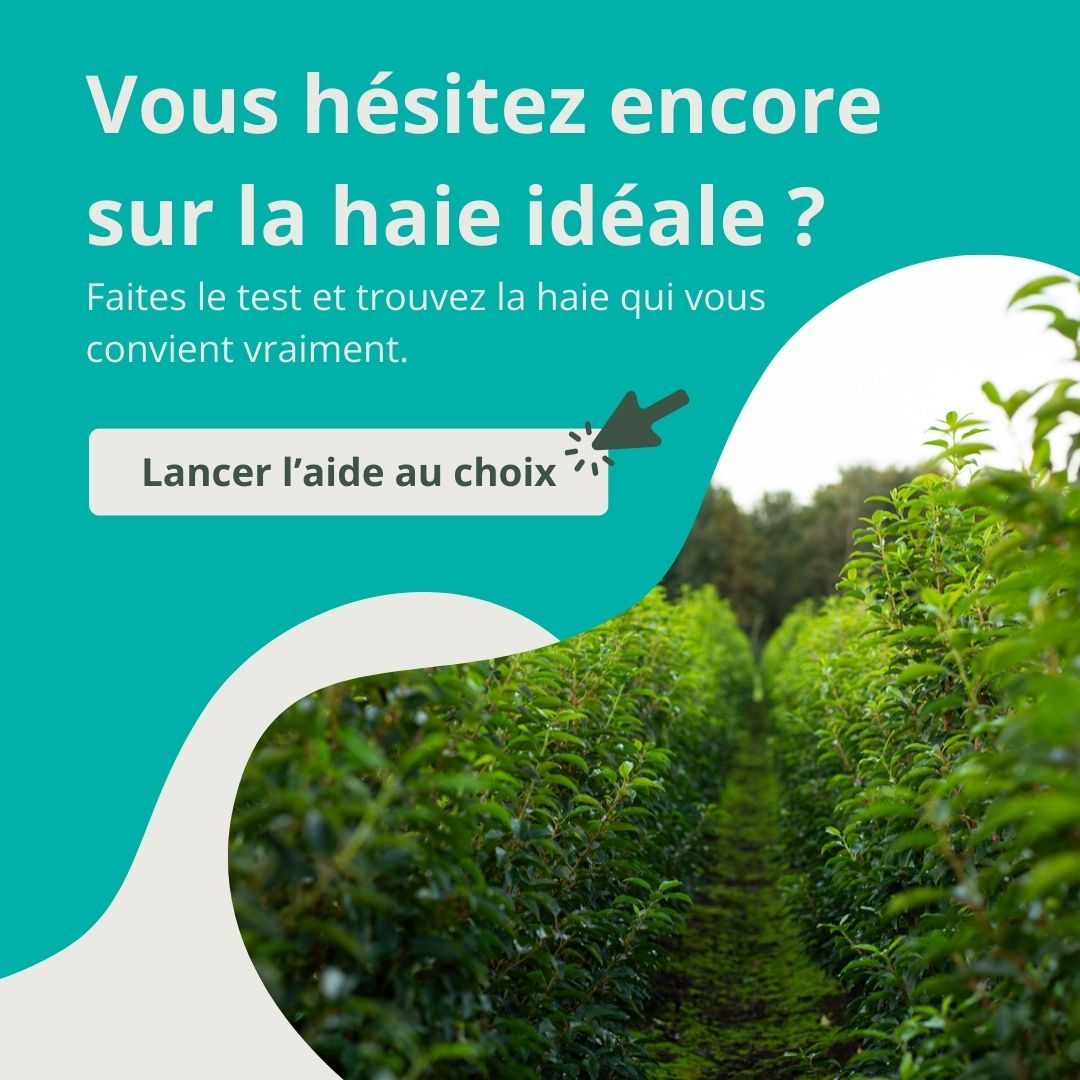 Aide au choix