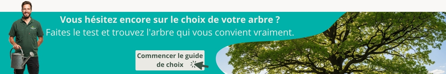 aide à la sélection