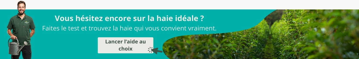 Aide au choix