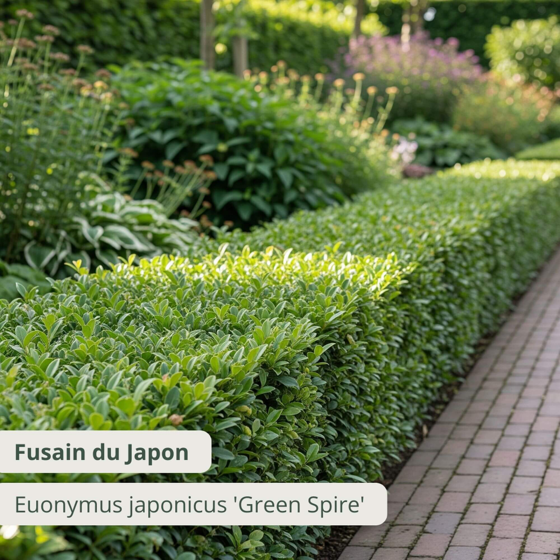 Green spire